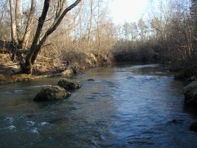Buck_62_Diana_Mills_-Slate_River.jpg2.jpg