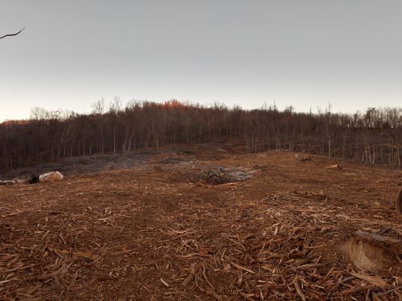 Floyd_53_2_20_Mulch_1.jpg Floyd_53_2_20_Mulch_1.jpg
