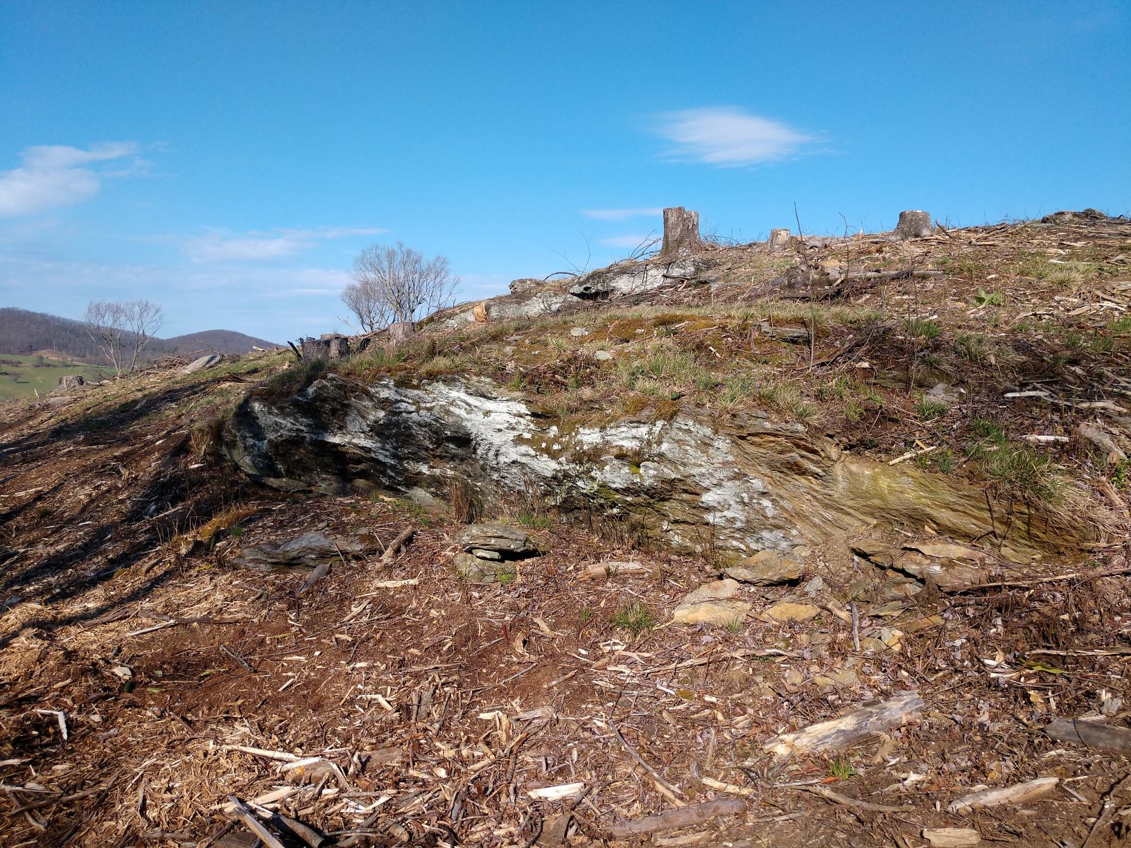 Floyd_53_April_2020_Rock_Ledge_1.jpg Floyd_53_April_2020_Rock_Ledge_1.jpg